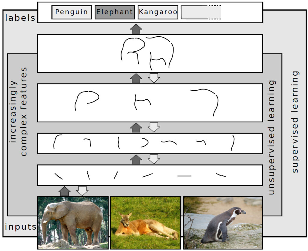 Representing images on multiple layers of abstraction in deep learning
